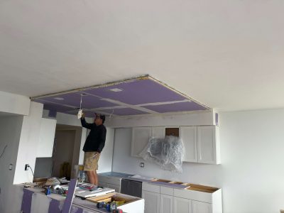 Professional Kitchen Renovation